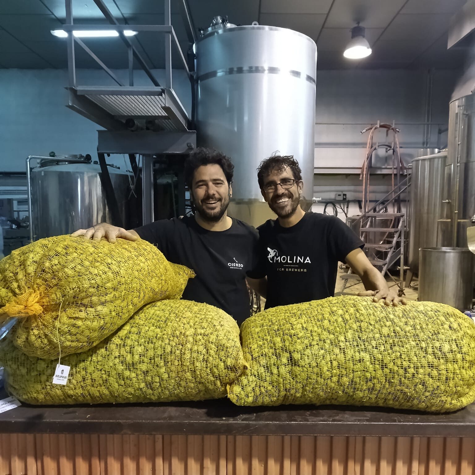 lúpulo en bolsas para elaborar cerveza