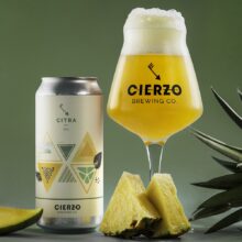 cerveza lúpulo citra